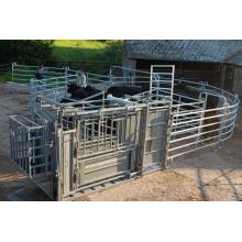 Used Metal Pipe Fencing Horses Fence Panels