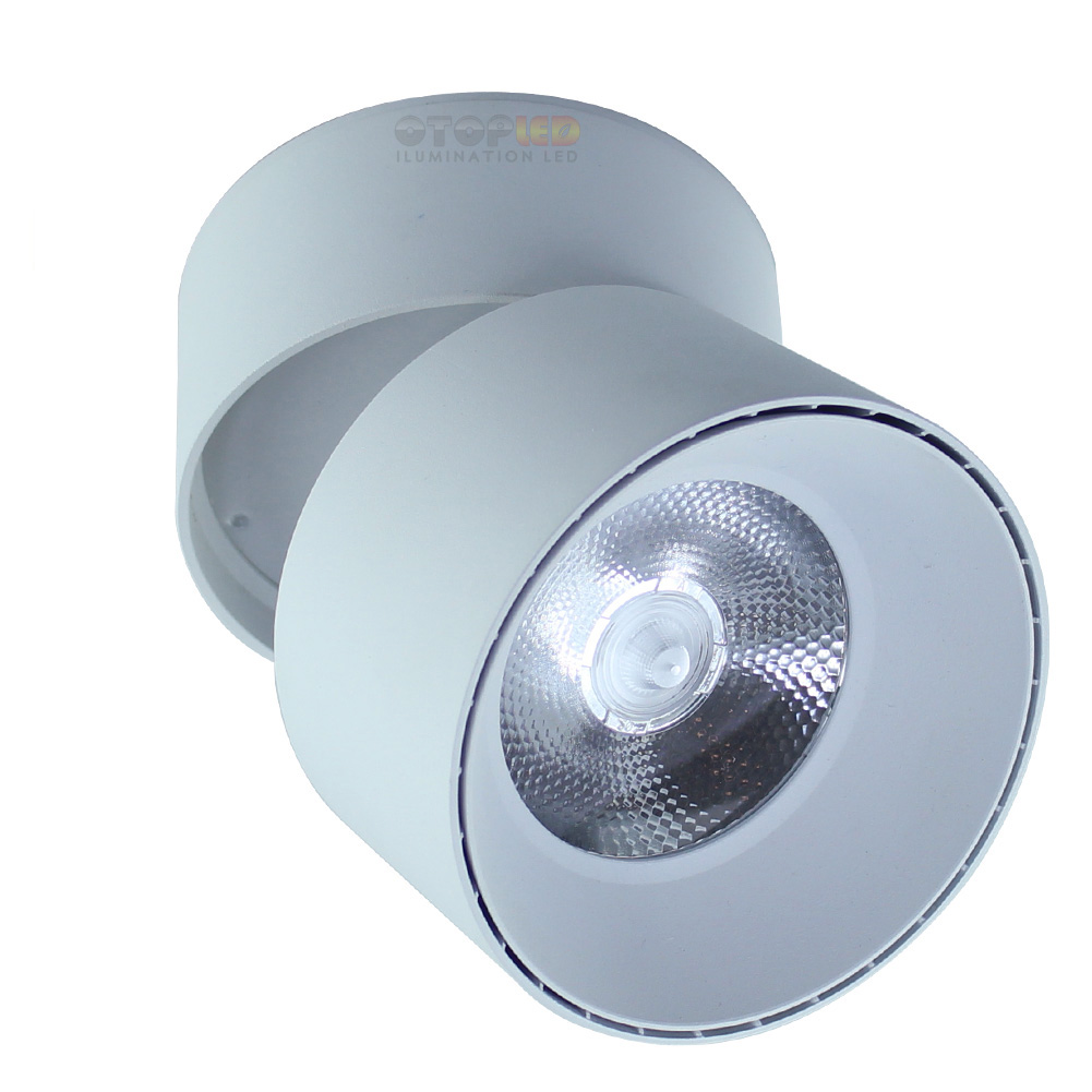 Surface Mount Downlight Adjustable