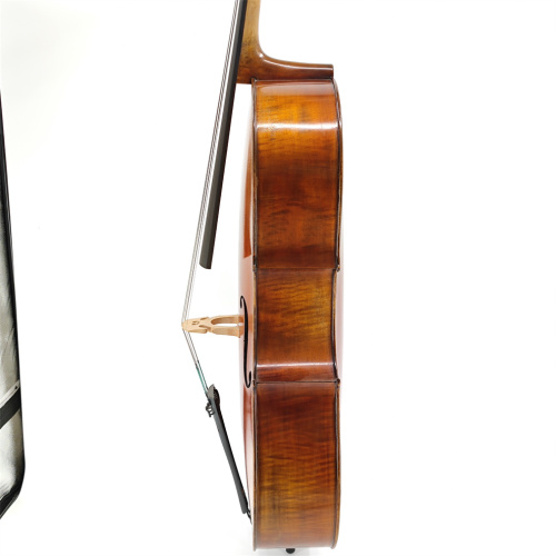 Bestes professionelles fortgeschrittenes Cello