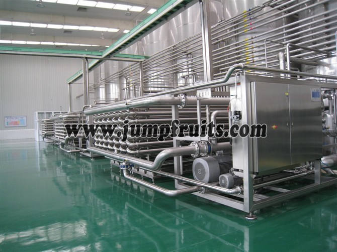 Полное плановое подразделение промышленного томатно-пюре. Complete plan unit of industrial tomato puree processing machine