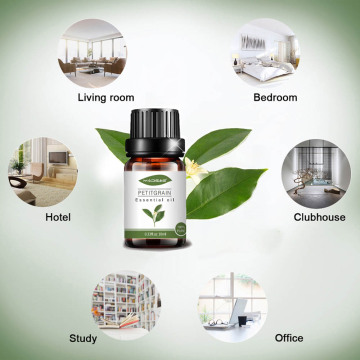 10ml OEM Petitgrain Essential Oil untuk Kulit Pijat