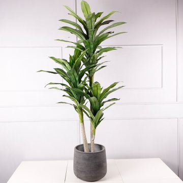 Wholesale Artificial Dracaena Draco Tree Topiary Faux Dragon Blood Tree