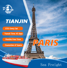 International Cheap Sea Freight Shipping To France