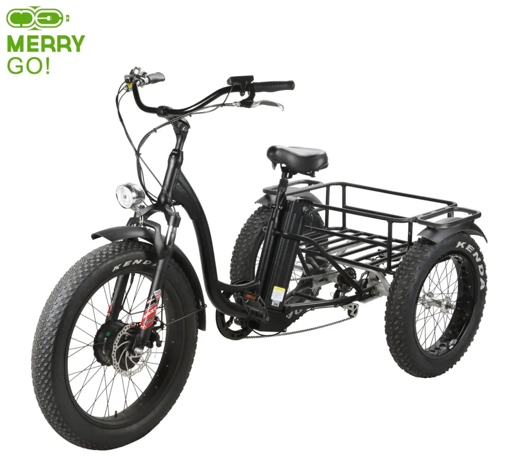 48V Front Drive 3 Wheel Electric Tricycle with Cargo for Old People