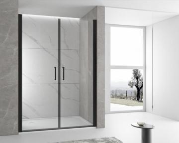 pivot shower door with 2 door panels