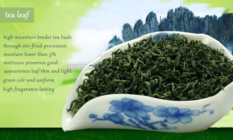 Factory supply New arrived Chinese special grade health green tea with strong taste and fresh aroma