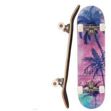 Hot selling optional colors complete long board skateboard