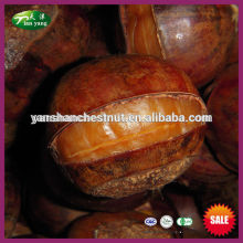 Organic Quick Frozen Ringent Roasted Chestnut