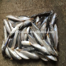 Blue scad mackerel frozen blue scad 14/16 for Asia market