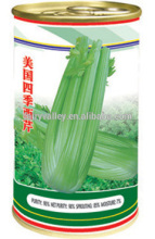 High Quality Celery Seed For Planting-American Four Season Celery
