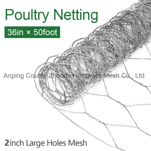 2 Inch Hexagonal Poultry Netting Galvanized Chicken Wire Mesh Fence