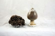 natural maitake(Grifola frondosa) extract