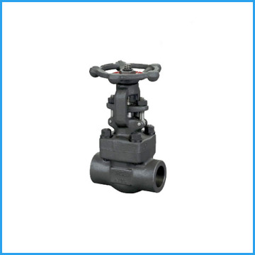 socket weld gate valve 800lb