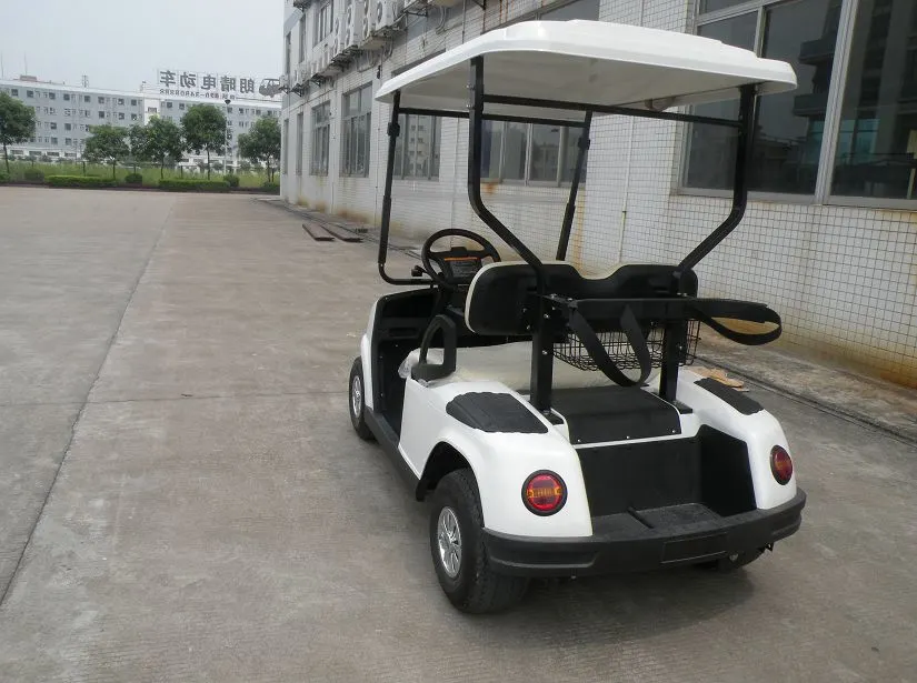 Convenient Passenger Car Mini Car 2 Seater