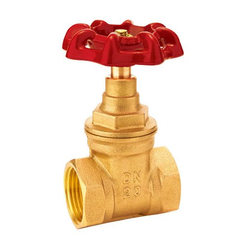 J1010 gate valve