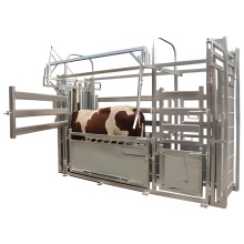 Hot DIP Galvanized Cattle Crush Equipment