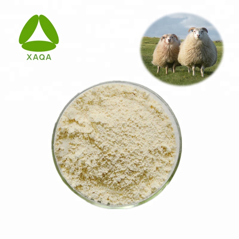 Aditivo alimentario Extracto de placenta de oveja Placenta 70% en polvo