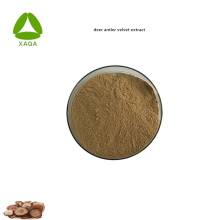 Raw Material Deer Antler Velvet Extract 10:1 Powder