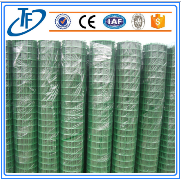 Siatka spawana Holland Wire / Wire Mesh