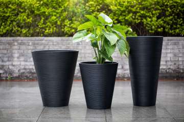 Carved Decorative Basin Black