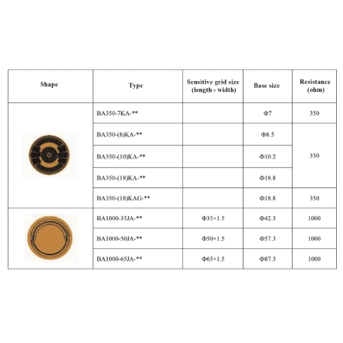 Strain Gauge with Several Grids