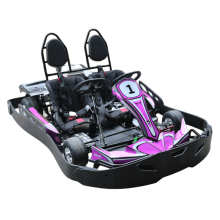 Manufacturer Wholesale Purple Petrol Racing Go Karts