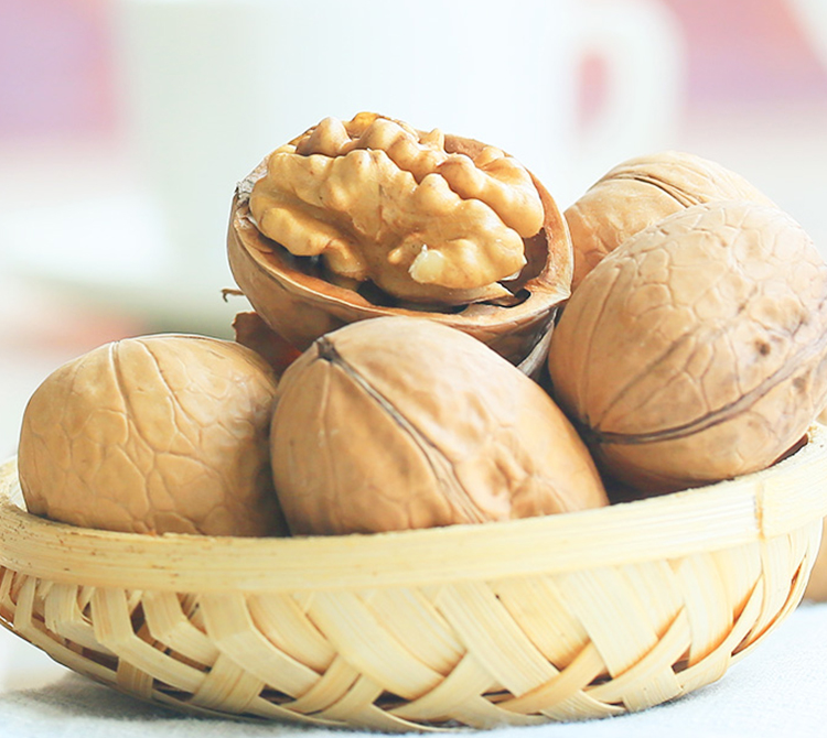 China Food Use and Carton Packaging Walnut Inshell Price