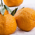 Mandarine douce douce