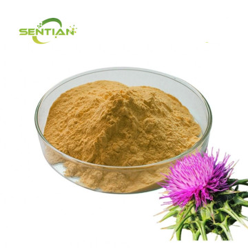 Milk Thistle Extract Silymarin