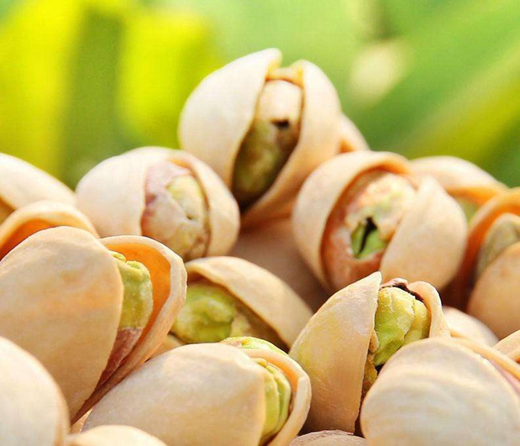 Roasted organic premium selected high quality pistachio