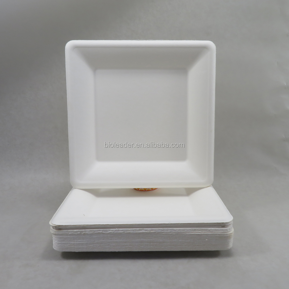 Factory Directly White Square Bagasse Take Away Biodegradable Plates