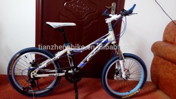 china bike factory wholesale mountain bike/steel frame mtb bike/20 inch MTB bike