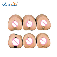 Labor Delivery Module Model