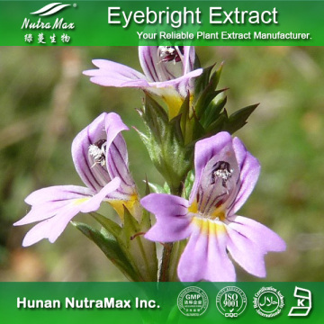 100% Natural Eyebright Extract (4: 1~20: 1)