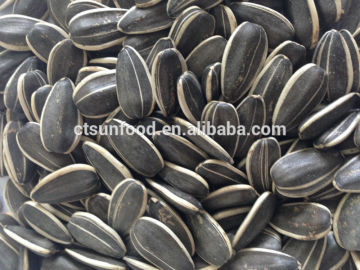 export sunflower seeds sunflower seeds ton price sunflower seeds price