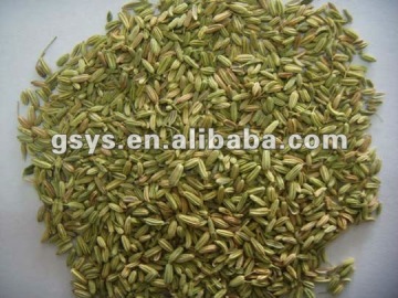 fennel-seeds