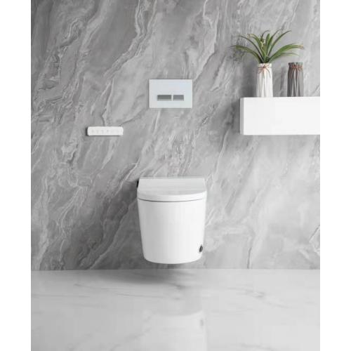 Baño Ware Ware Ceramic Washdown Wall-Hung Wit