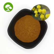 Top Quality Acacia Bark Extract/Acacia Bark Powder