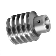 Small Stainless Steel Worm Gear For Elevator