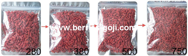 Low Pesticide Goji Berries