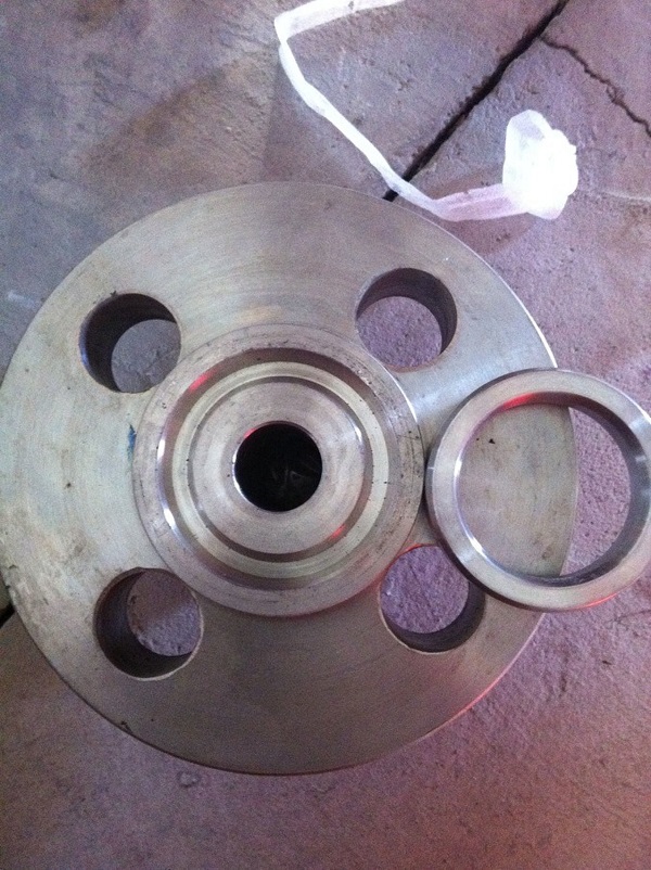 Stainless Steel Plate Flanges