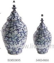 Blue And White Porcelain?