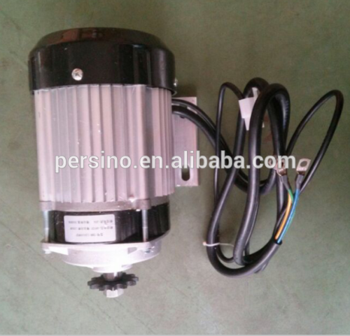 electric dc brushless 24v dc motors for small electric tricycle /pump