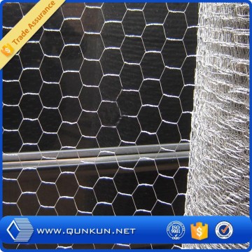 electro galvanized poultry wire mesh