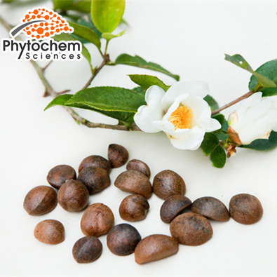 Light Yellow Powder form Oil-tea camellia seed