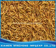 High protein Aquarium fish food--Freeze dried mealworm