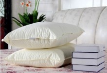 feather cushion core