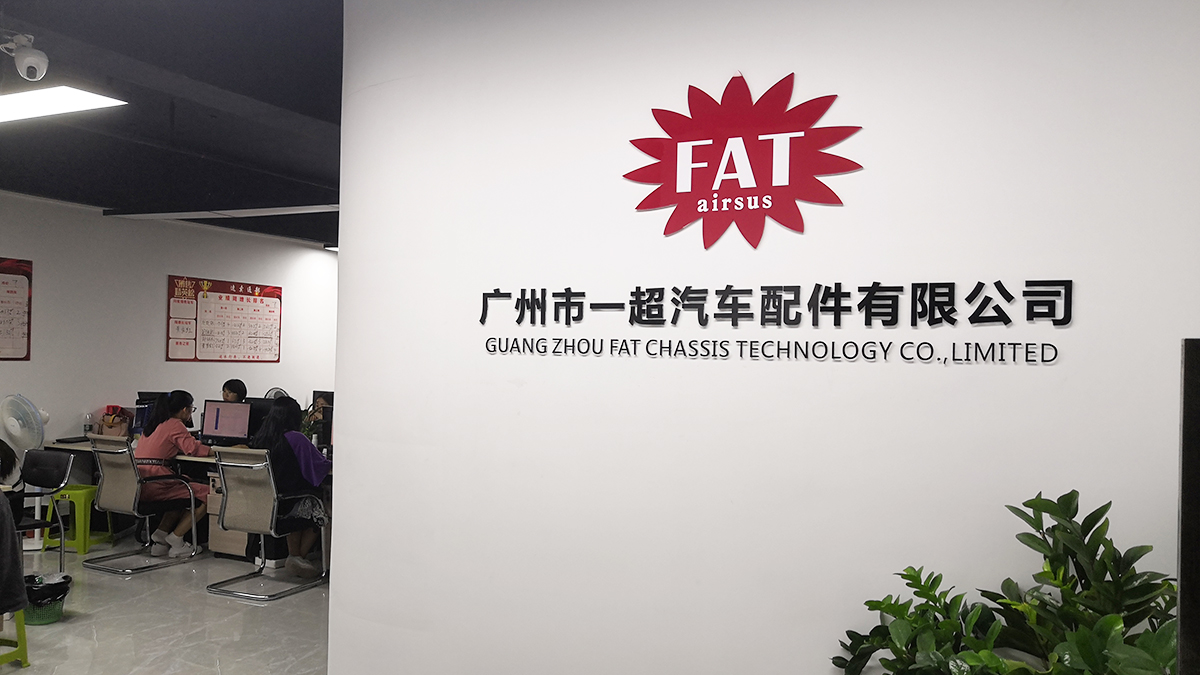 适用于沃尔沃V40 T4 T5 D2 D3 D4 2012-2022年前左减震器减震器