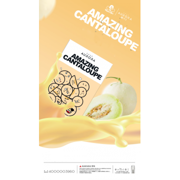 Set di pod classici Zgar -3% / Amazing Cantaloupe