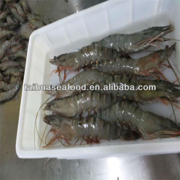 quality shrimp seafoods frozen supplier from japan